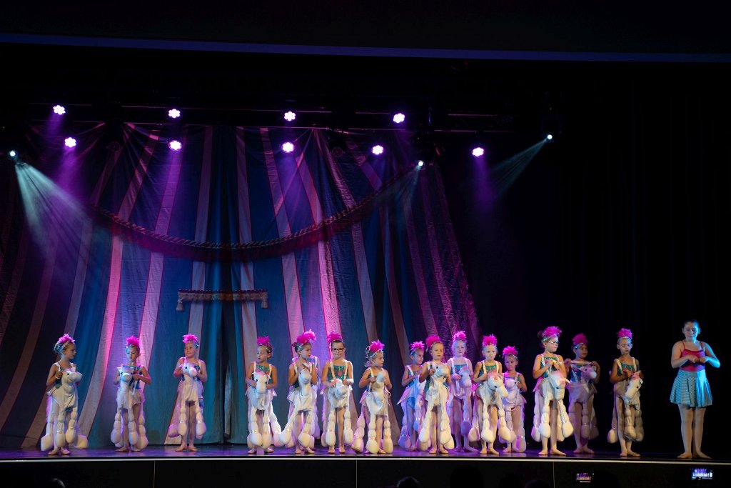 Wintercircus 10B 84.jpg